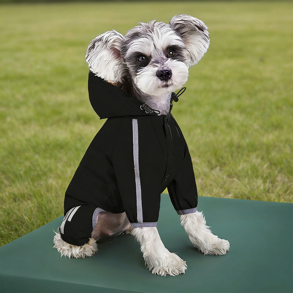 Imperméable Personnalisé pour Animaux Domestiques | inCloth37