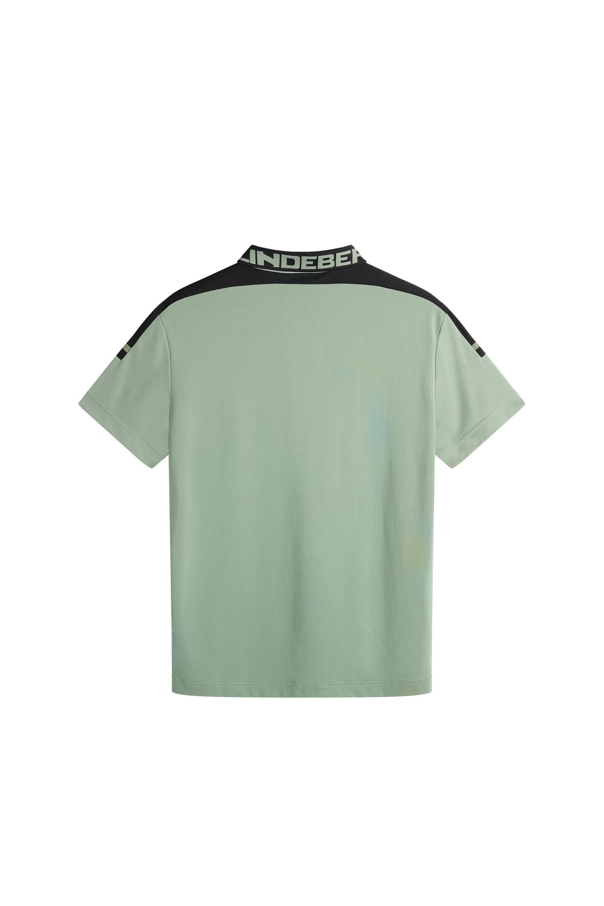 Bo Polo / Hedge Green
