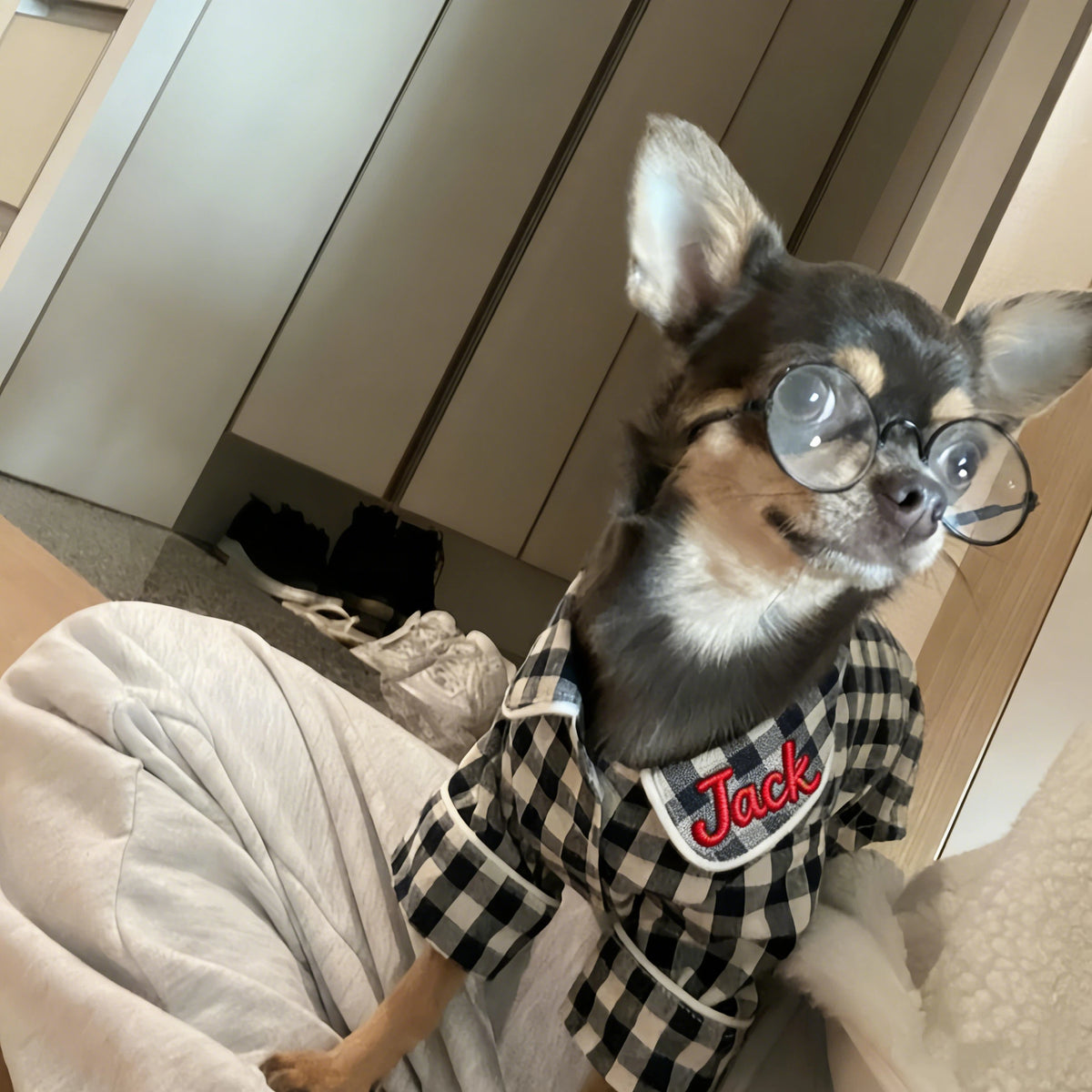 Personalisierter bestickter Name Baumwoll-Leinen Karierter Hunde-Schlafanzug | inCloth70