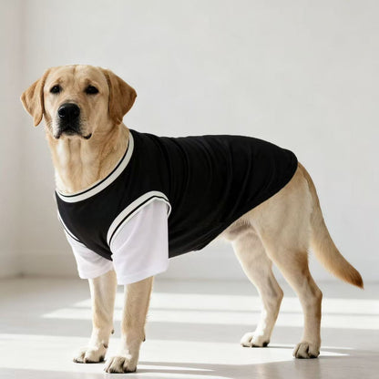 Personalized Breathable Pet Shirt with Name & Number | inCloth62